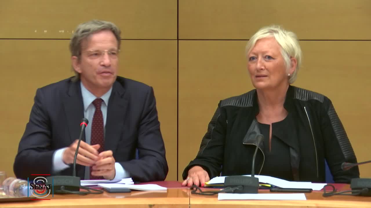Audition de M. Fabrice Fries, PDG de l'AFP