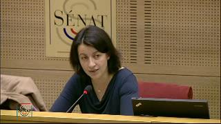 Audition de Cécile Duflot, ministre de l'Egalité des territoires et du Logement.