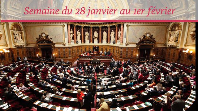 Senat.Hebdo N°82 (01/02/2013)
