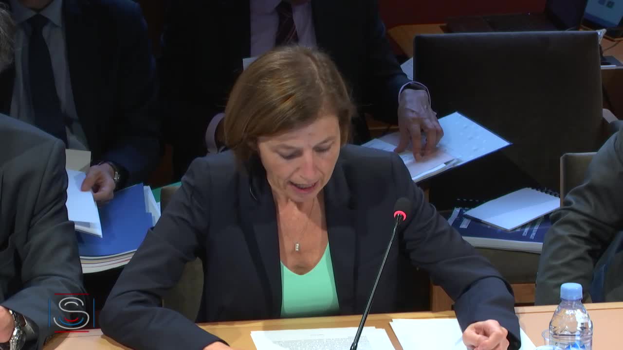PLF 2019 - Audition de Mme Florence Parly, ministre des Armées