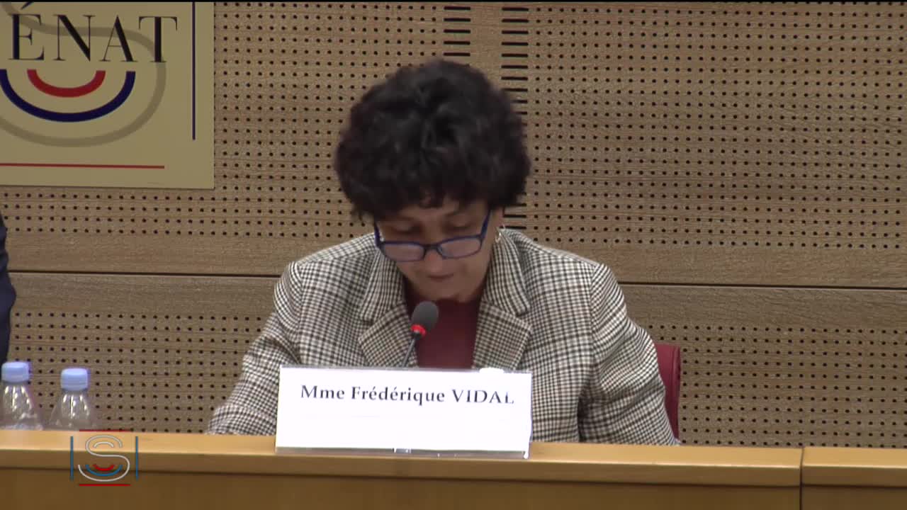 Audition de Mme Frédérique Vidal, ministre de l'enseignement supérieur, de la recherche et de l'innovation