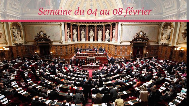 Senat.Hebdo N°83 (08/02/2013)
