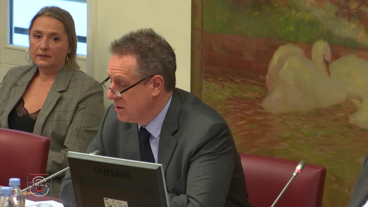 PLFSS 2019 - Audition de M. Nicolas Revel, directeur général de la CNAM