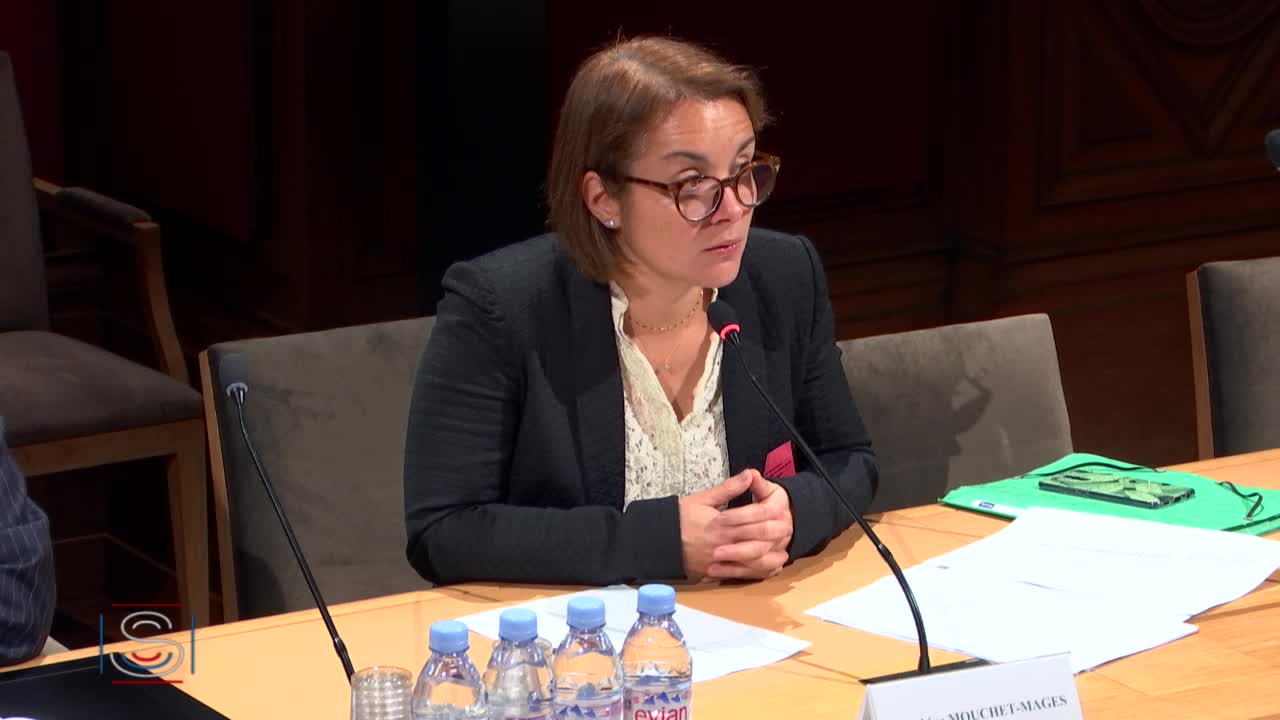 Audition de M. Jean-Marie Delarue et du Dr Sabine Mouchet-Mages