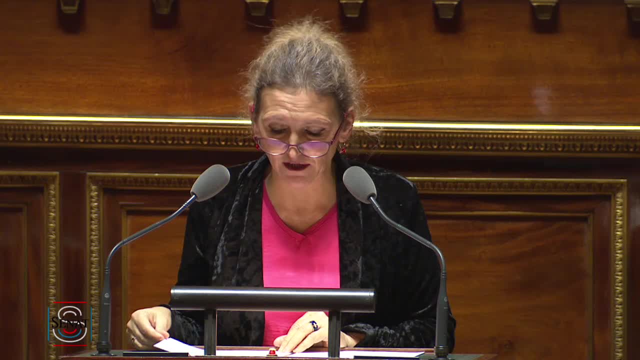 Séance publique du 21 novembre 2018 (après-midi)