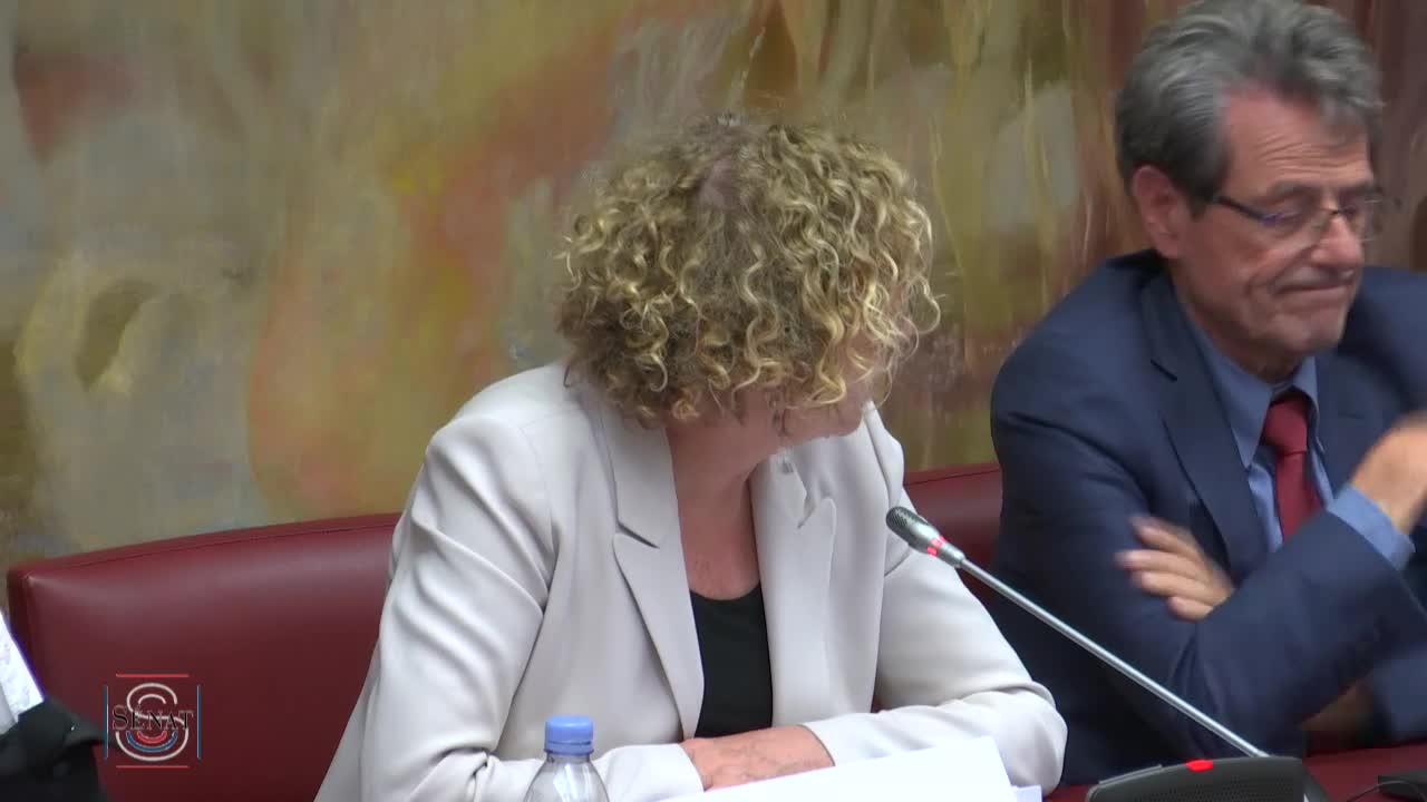 PLF 2019 - Audition de Mme Muriel Pénicaud, ministre du travail