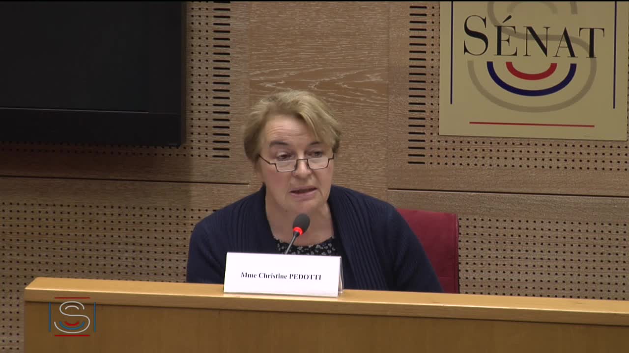 MCI "Infractions sexuelles commises sur mineurs"