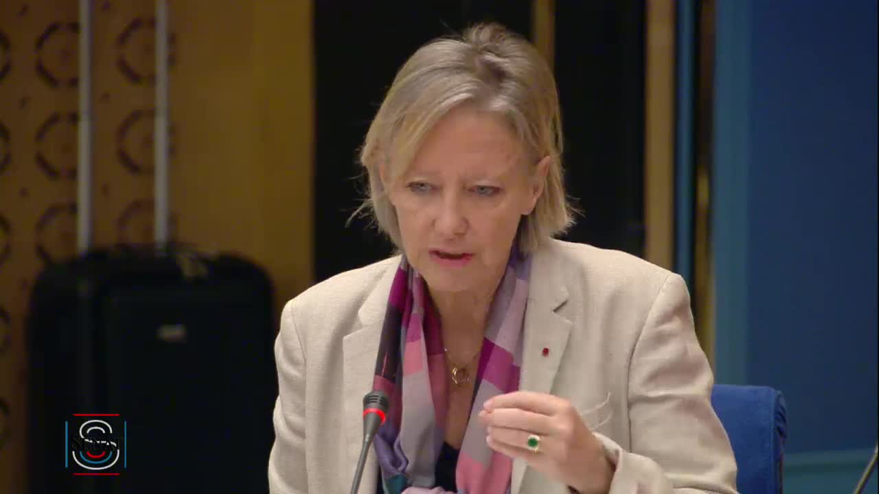 Table ronde sur les violences faites aux femmes handicapées