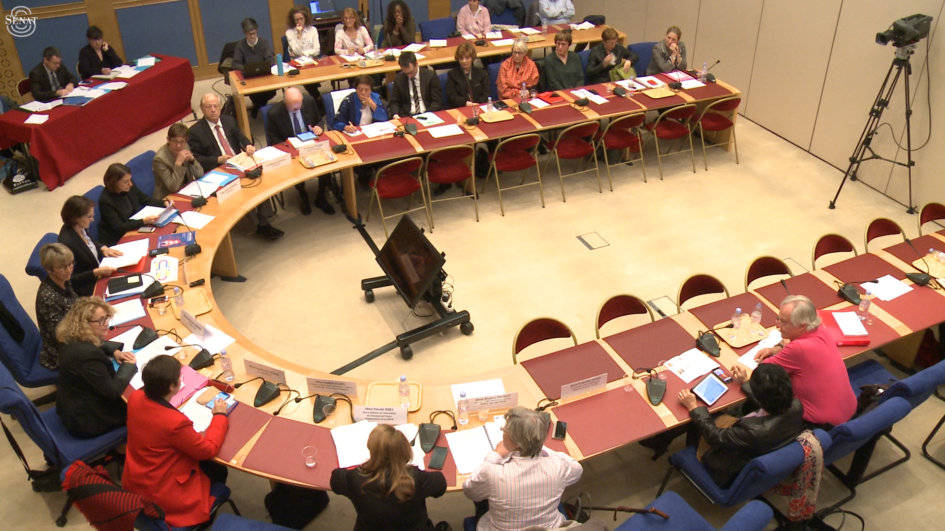 Droit des Femmes : table ronde sur les violences faites aux femmes handicapées