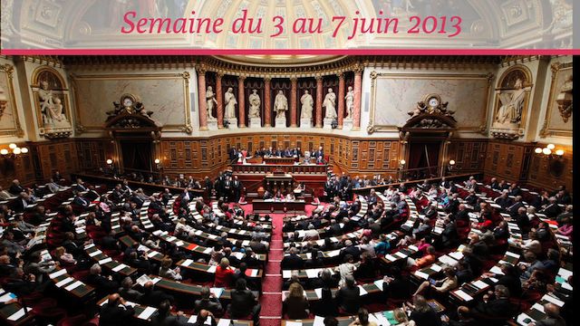 Sénat.Hebdo N°97 (07/06/13)