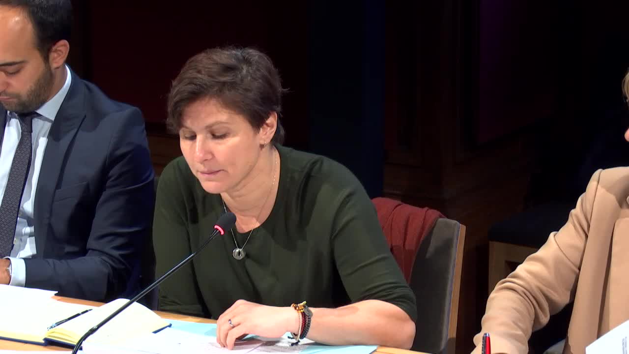 Audition de Mme Roxana Maracineanu, ministre des Sports