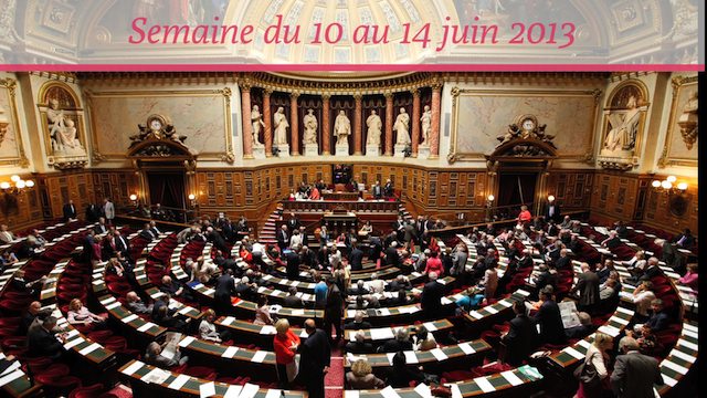 Sénat.Hebdo N°98 (14/06/13)