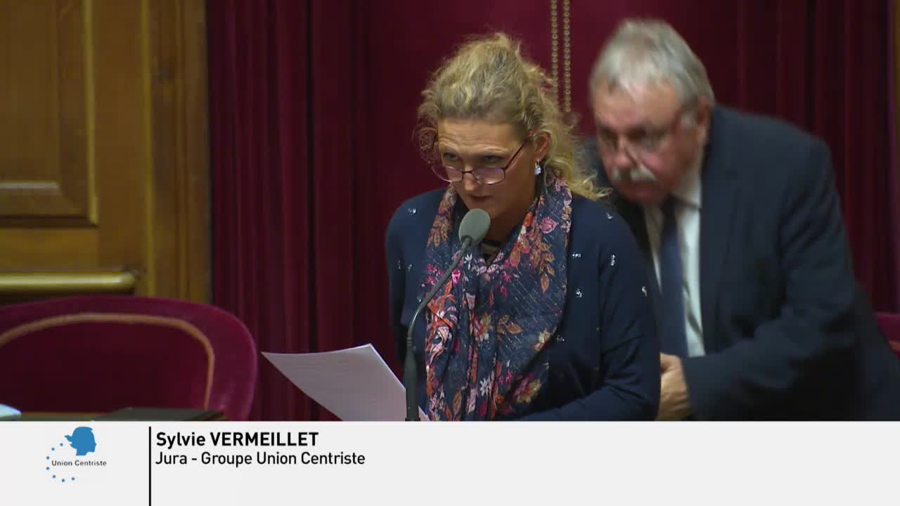 Séance publique du 15 janvier 2019 (après-midi)