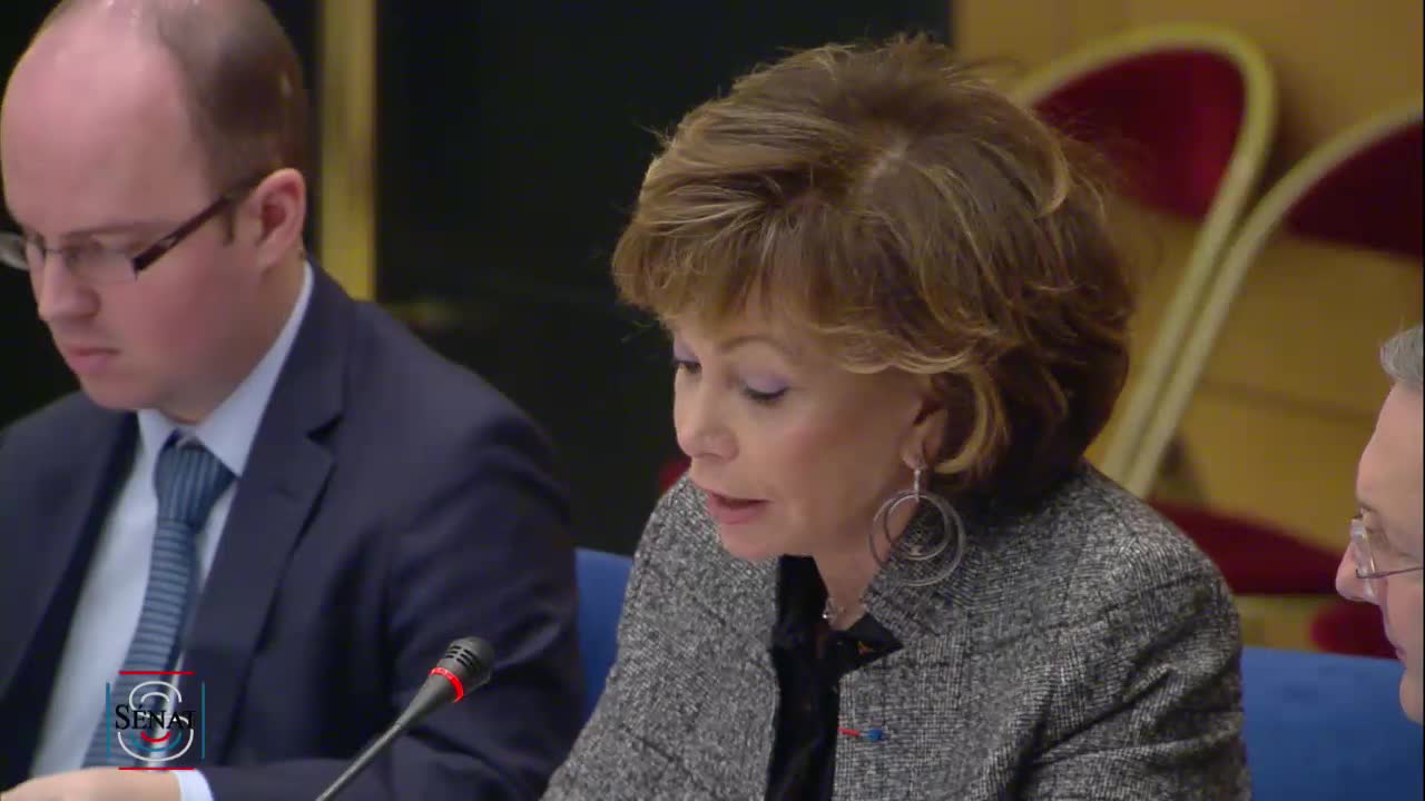 PPL Instances représentatives des Français de l'étranger - PPLO élections à l'étranger - Examen rapport et textes commission