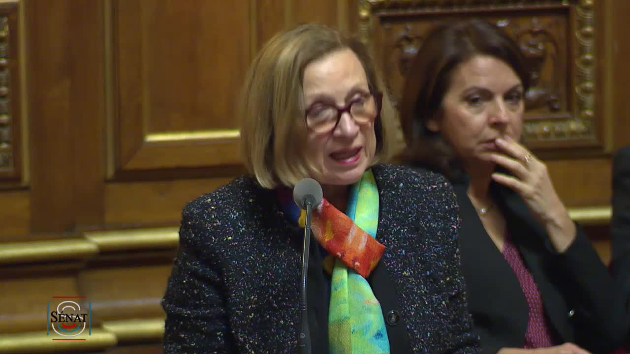 Séance publique du 16 janvier 2019 (après-midi)