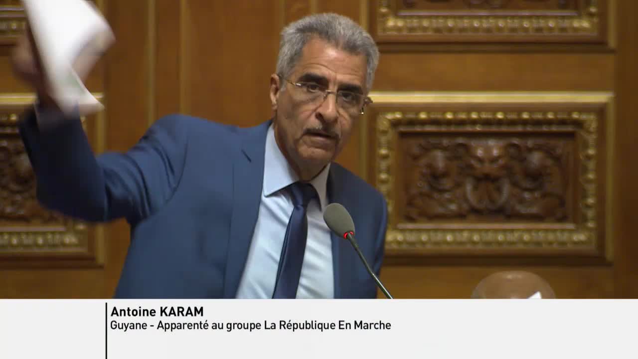Séance publique du 17 janvier 2019 (après-midi)