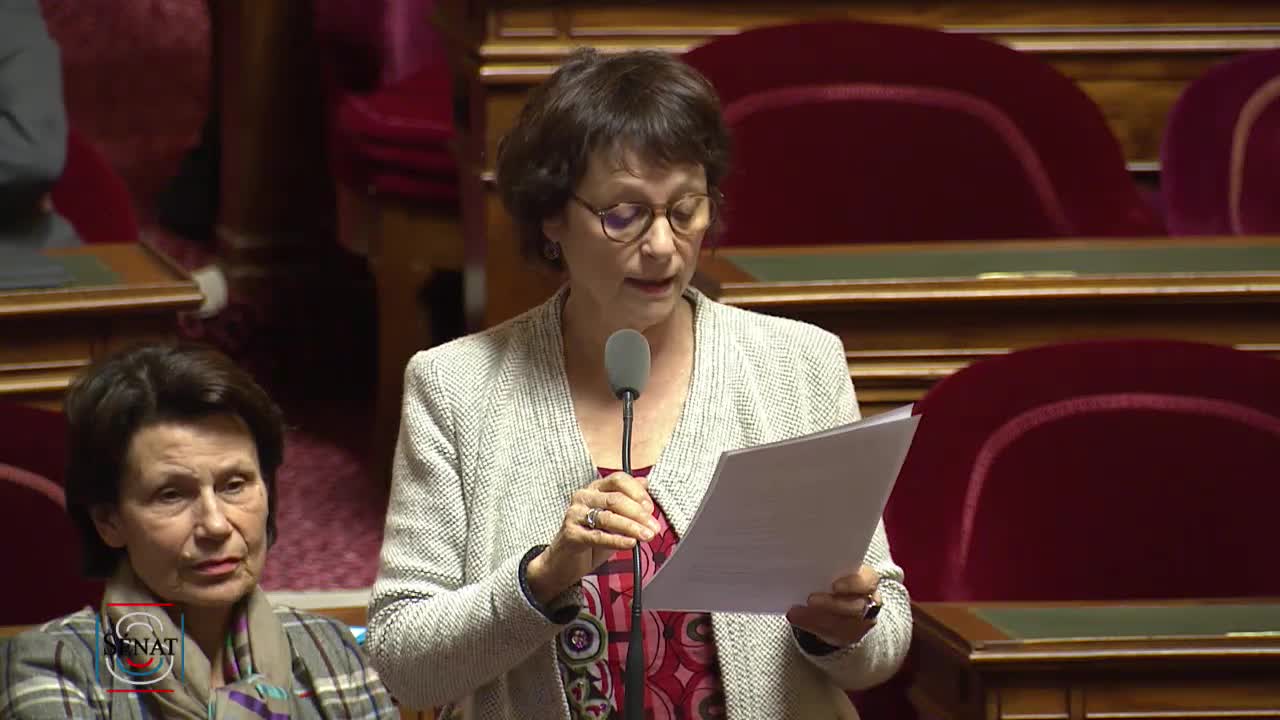 Séance publique du 17 janvier 2019 (après-midi)
