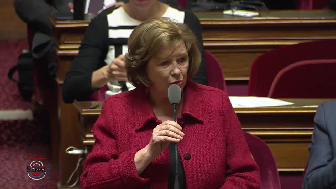Séance publique du 17 janvier 2019 (après-midi)