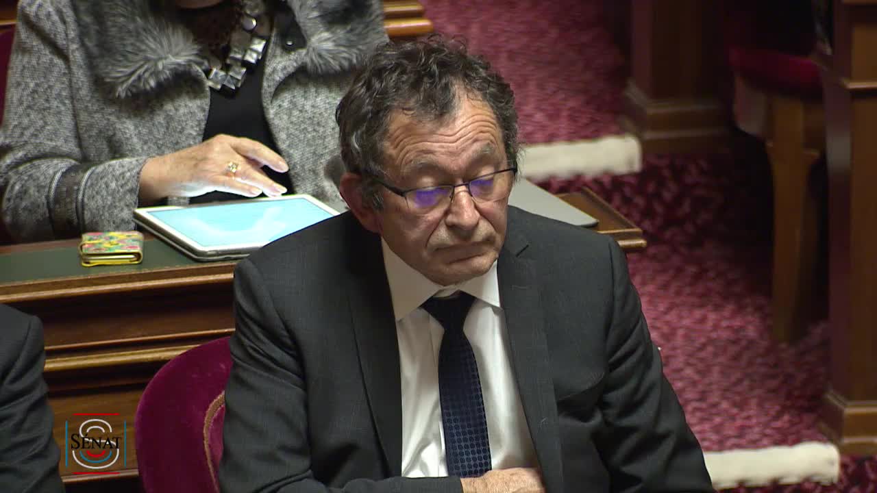 Séance publique du 17 janvier 2019 (après-midi)