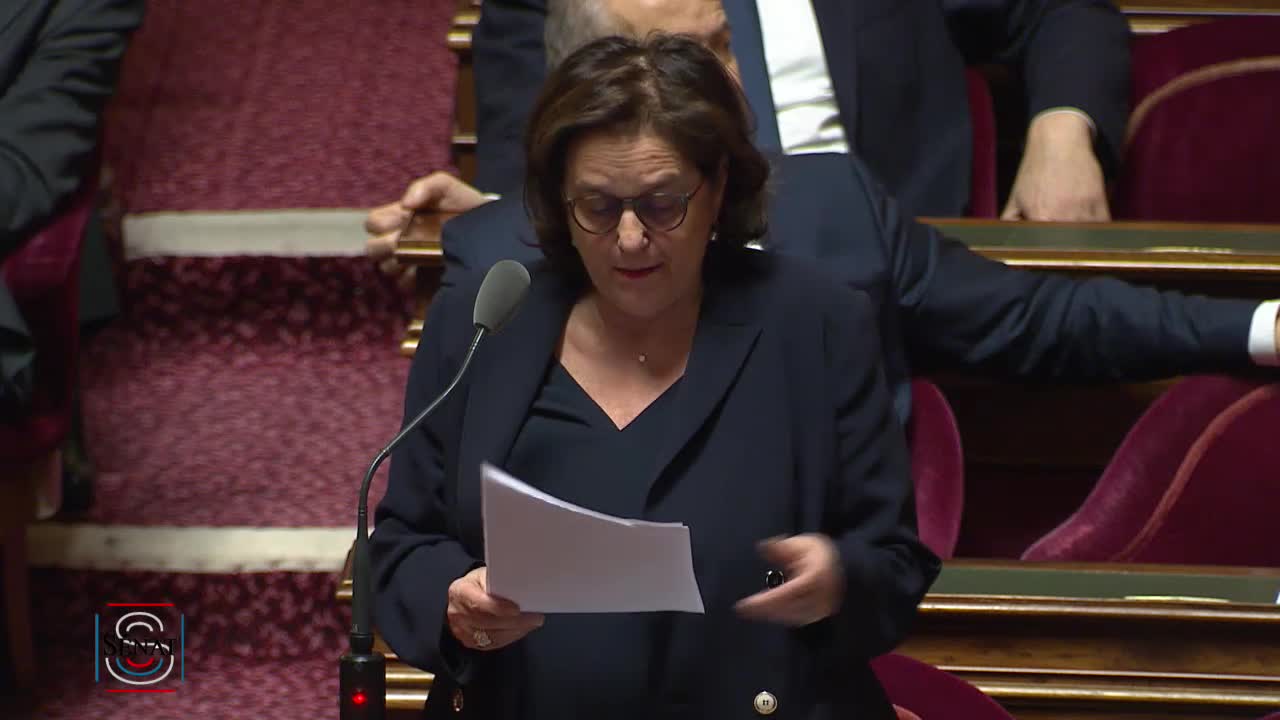 Séance publique du 17 janvier 2019 (après-midi)