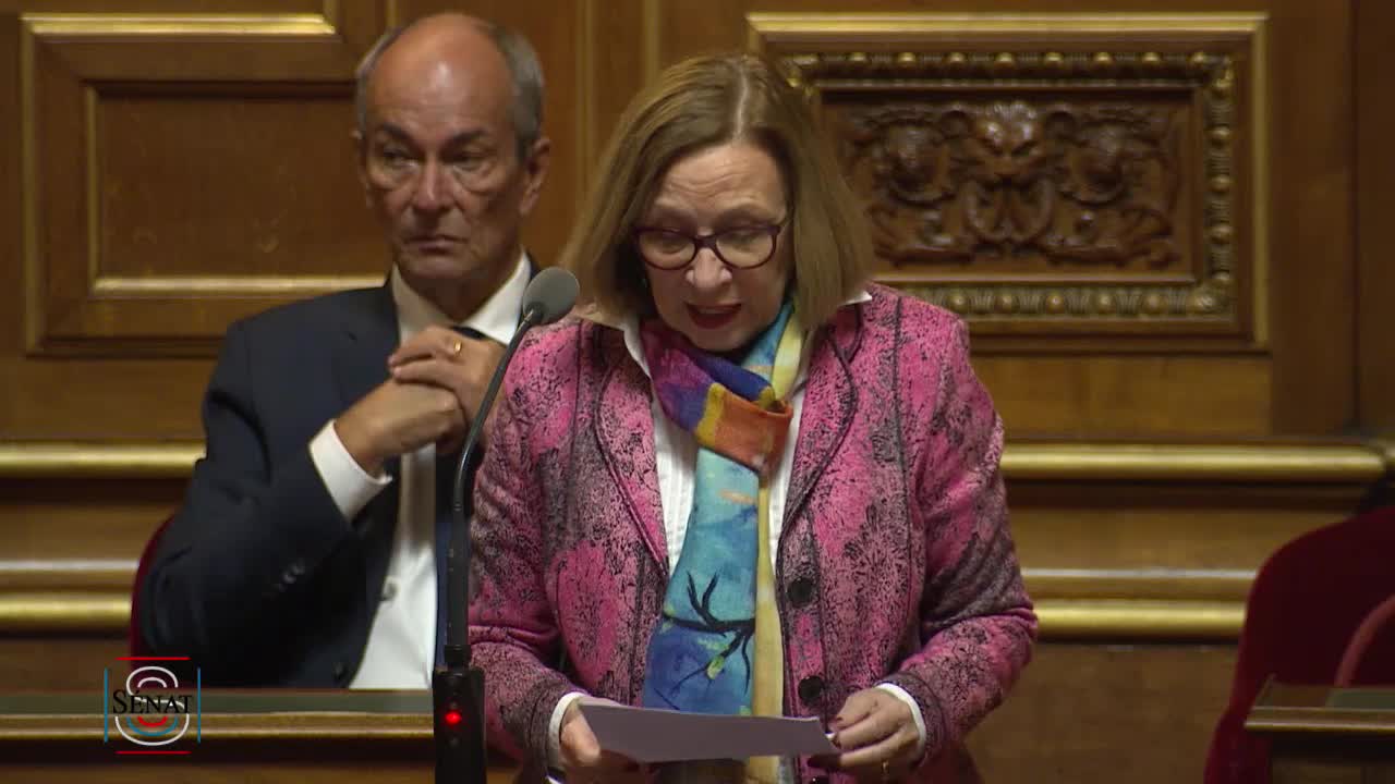 Séance publique du 17 janvier 2019 (après-midi)