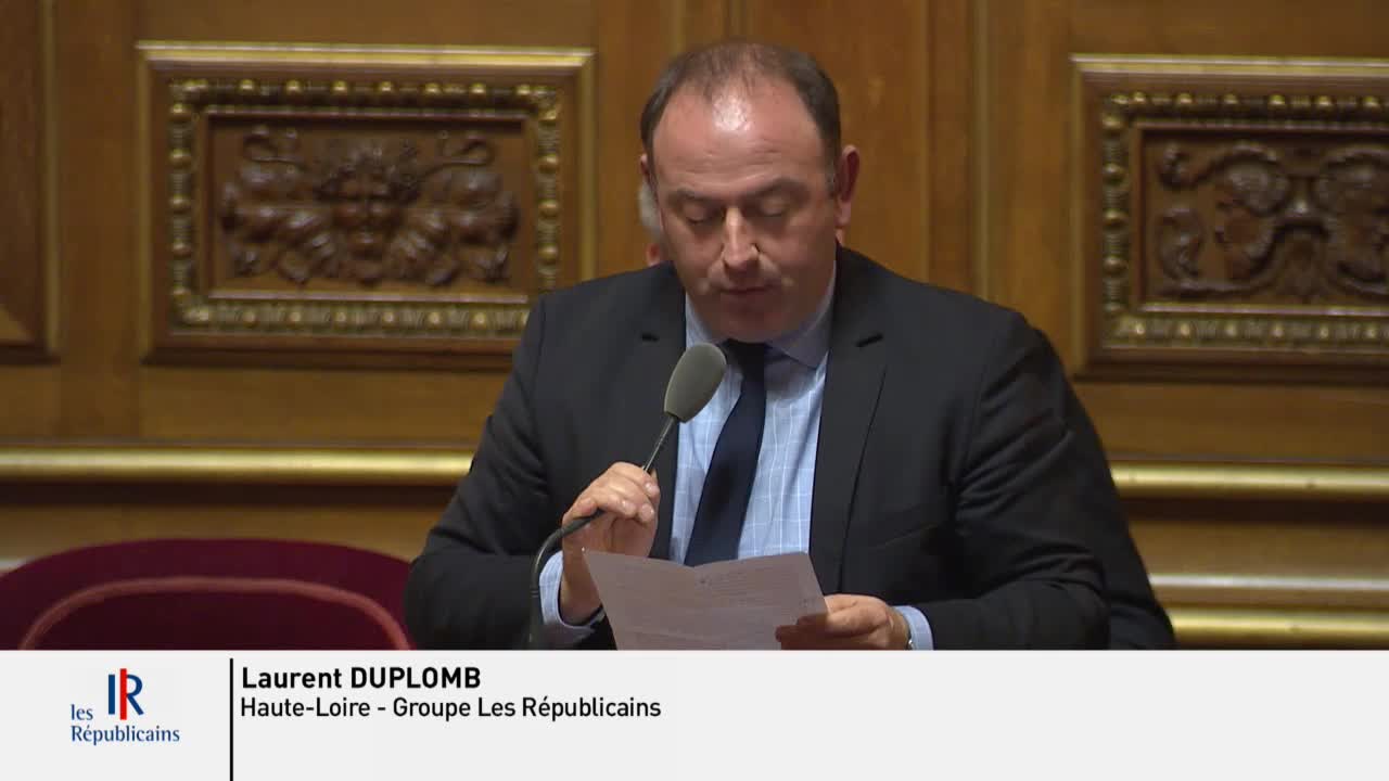 Séance publique du 17 janvier 2019 (après-midi)