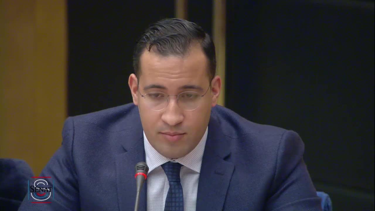 Audition de M. Alexandre Benalla, ancien chargé de mission à la présidence de la République