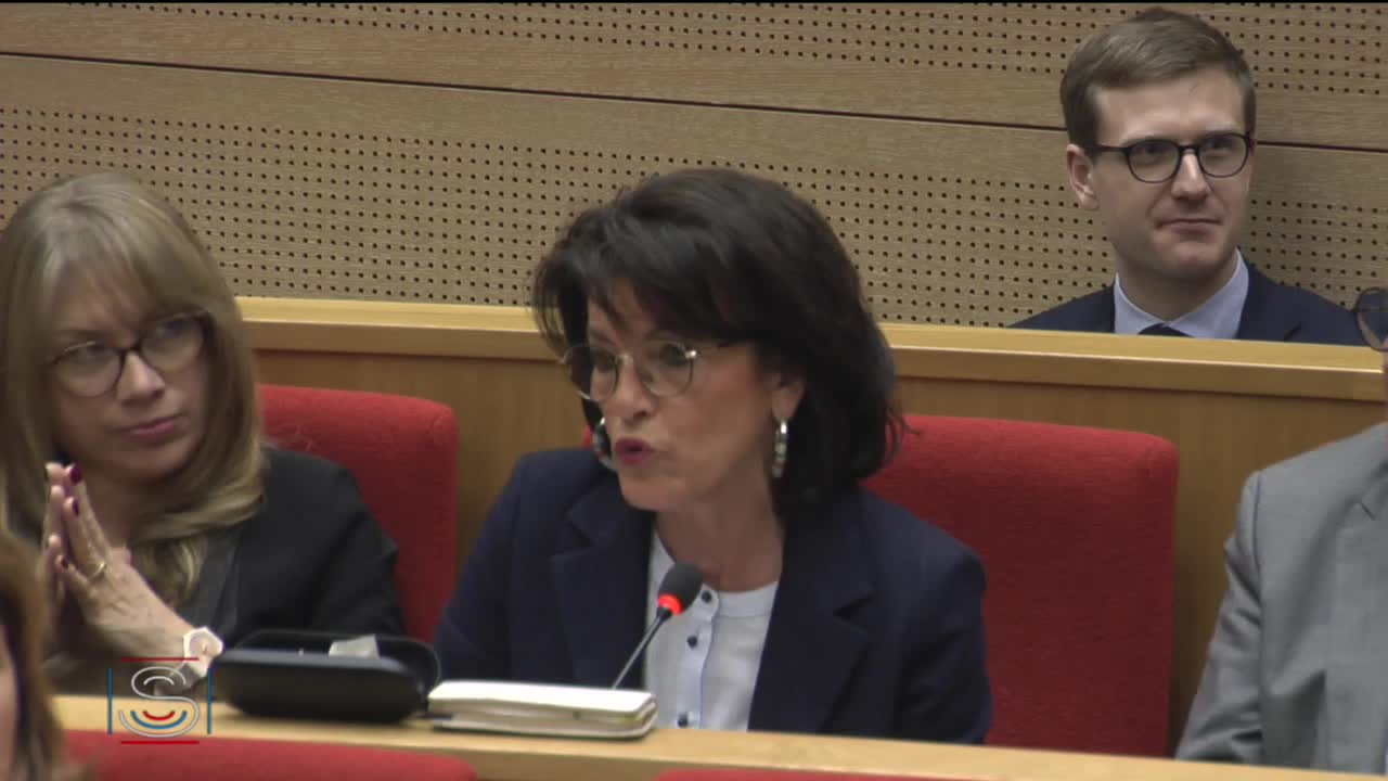 Audition sur les moyens mis en place pour faire face aux nouveaux actes de violence et de vandalisme commis à Paris