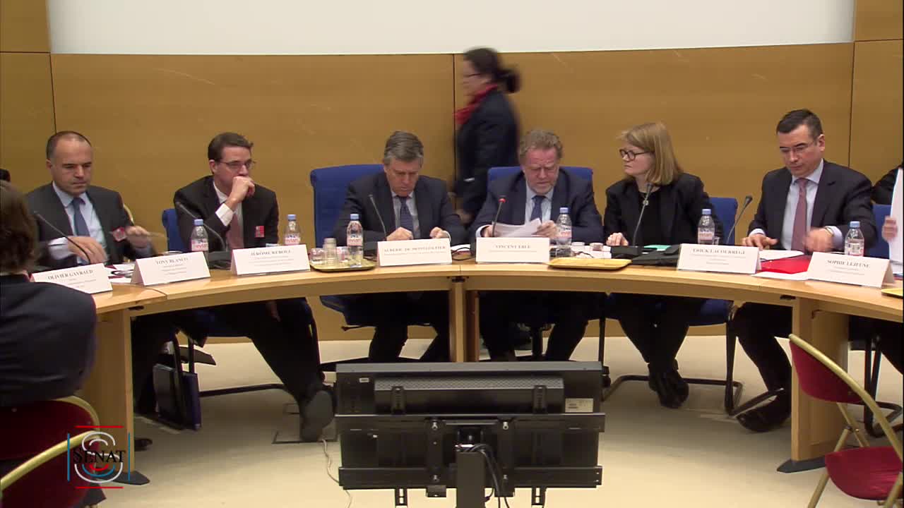 Audition plénière - 2019 - Dématérialisation des moyens de paiement