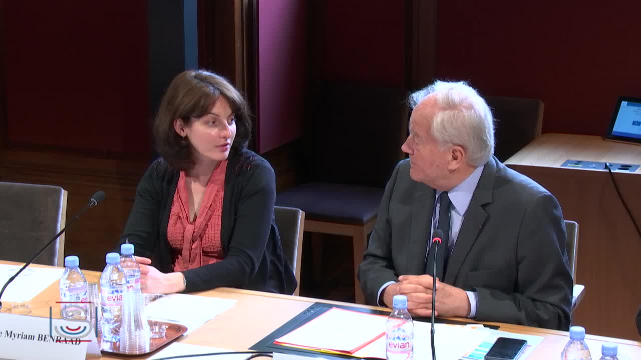 Audition plénière de Mme Myriam Benraad sur les enjeux et les perspectives de la reconstruction de l'Irak.