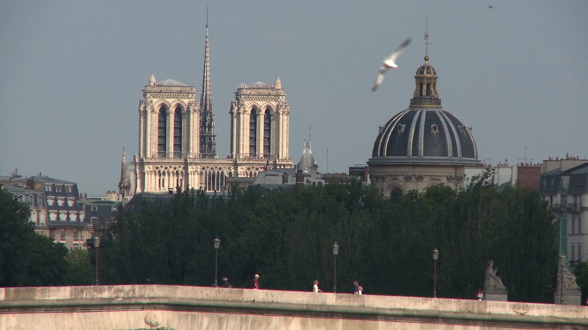 Adopté : Projet de loi pour la restauration et la conservation de la cathédrale Notre-Dame de Paris et instituant une souscription nationale à cet effet