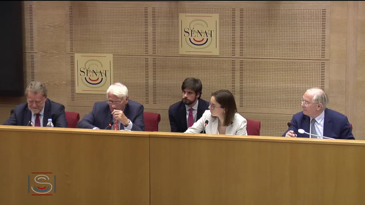 Débat préalable au Conseil européen des 20 et 21 juin, en présence de Mme Amélie de Montchalin, secrétaire d'État auprès du ministre de l'Europe et des affaires étrangères, chargée des affaires européennes