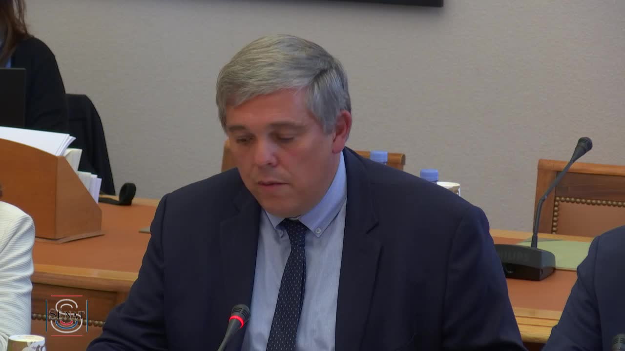 Audition de M. Jean-Michel Thillier, directeur général adjoint des Douanes et des droits indirects