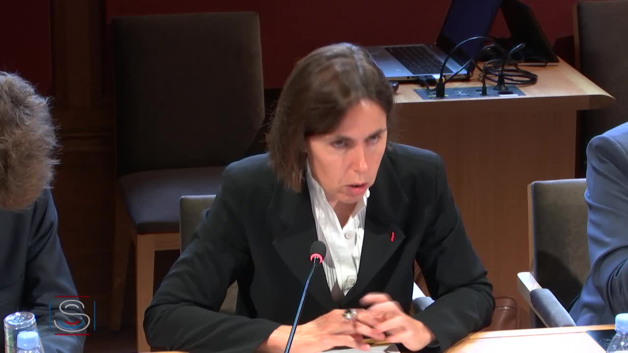 PLF pour 2020 - Audition conjointe de Mme Claire Landais, SGDSN et de M. Julien BARNU, conseiller industrie numérique SGDSN