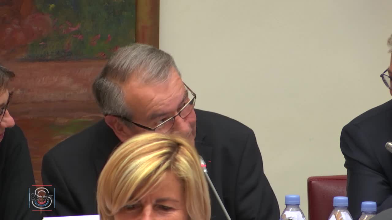 PLFSS pour 2020 - Audition de Mme Anne Thiebeauld, directrice par intérim des risques professionnels de la CNAM