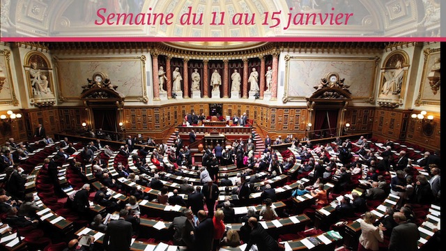 Sénat.Hebdo N°195 (15/01/2016)