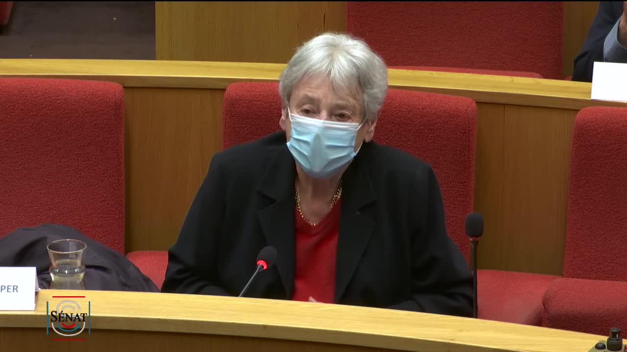 Audition de Mme Dominique SCHNAPPER, sociologue, ancienne membre du Conseil constitutionnel.