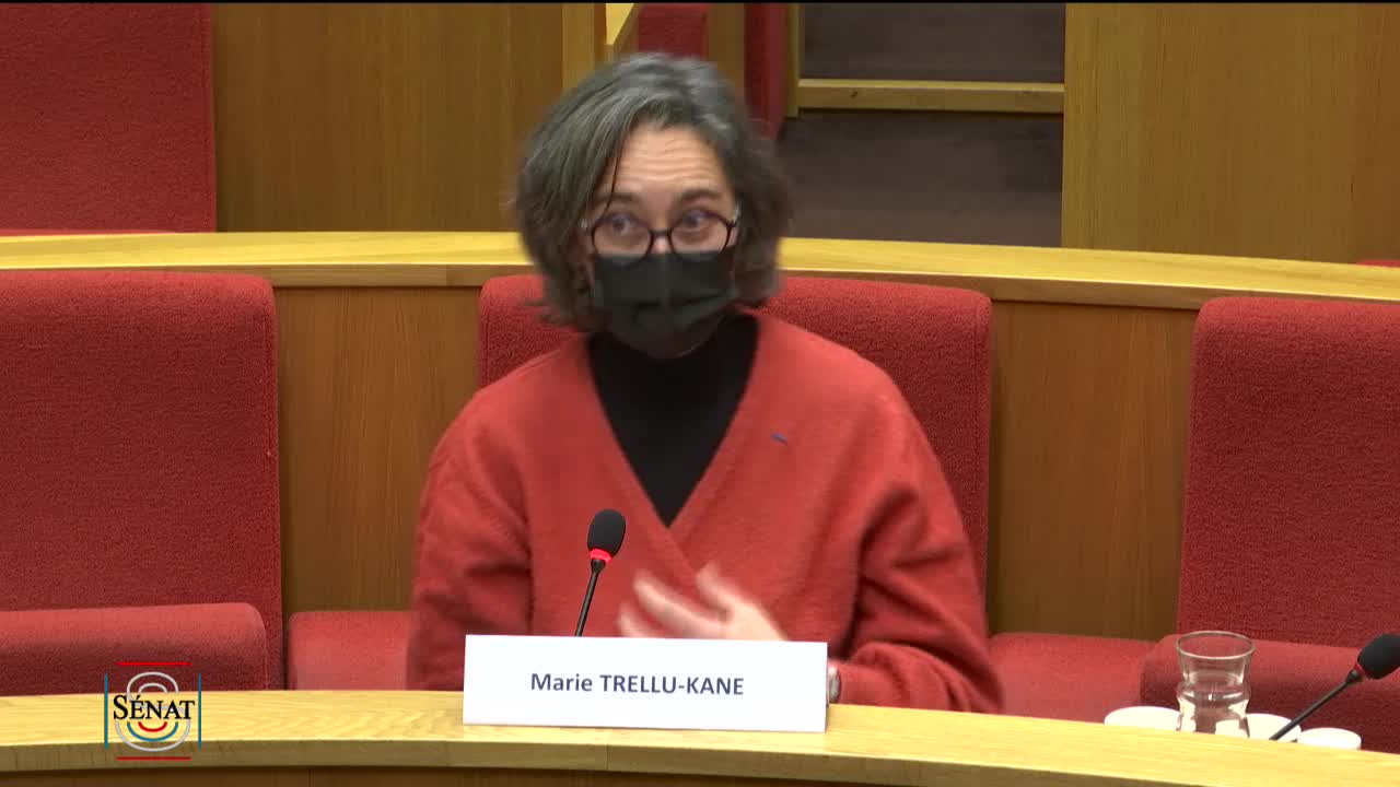 Audition de Mme Marie TRELLU-KANE, présidente de l’association Unis-Cité