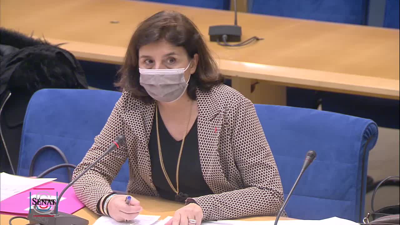 Audition de Mme Emmanuelle PERES, directrice de la jeunesse, de l'éducation populaire et de la vie associative, déléguée interministérielle à la jeunesse