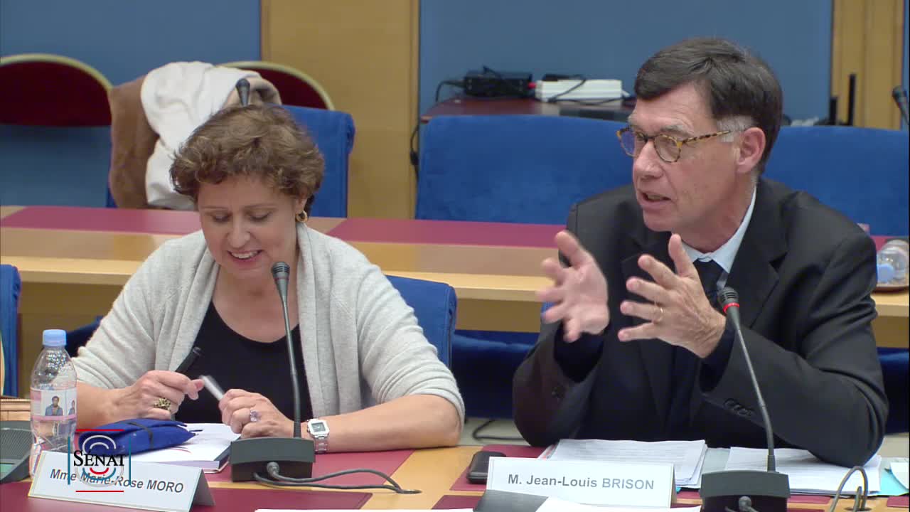 Audition de Mme Marie-Rose Moro et M. Jean-Louis Brison
