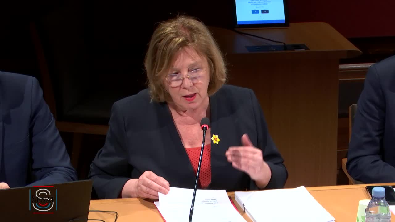 Conférence de presse : CE sur La situation de l'hôpital et le système de santé en France
