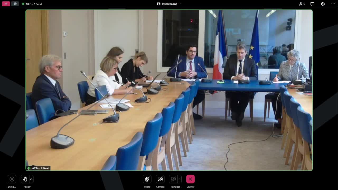 Révolution numérique et changement climatique : audition du directeur général de l'IGN
