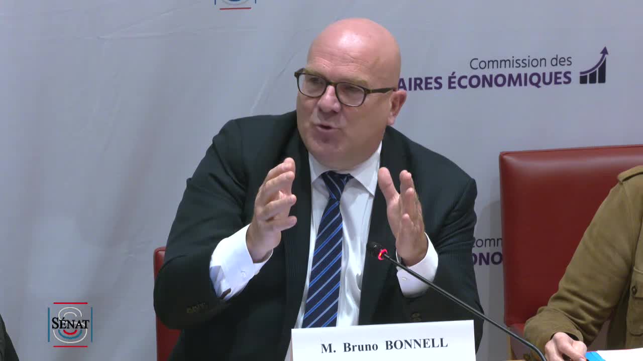 Audition de M. Bruno Bonnell, secrétaire général pour l'investissement