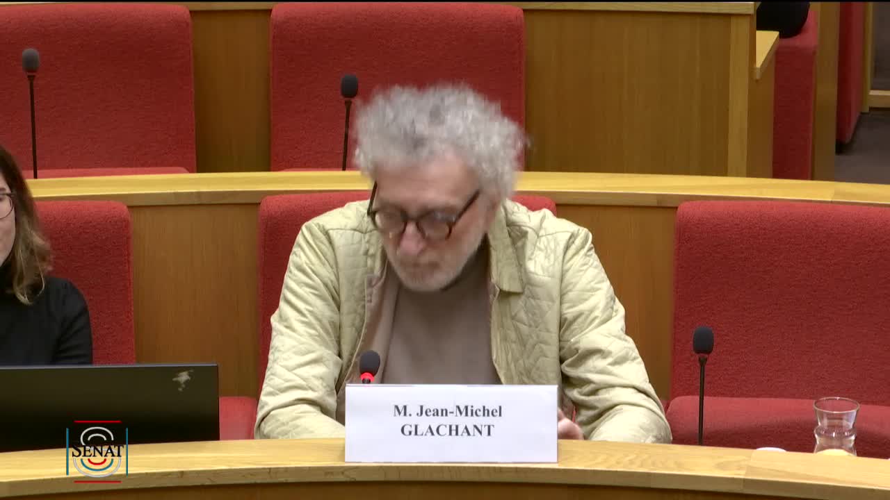 Réforme du marché de l'électricité dans l'Union européenne : table ronde