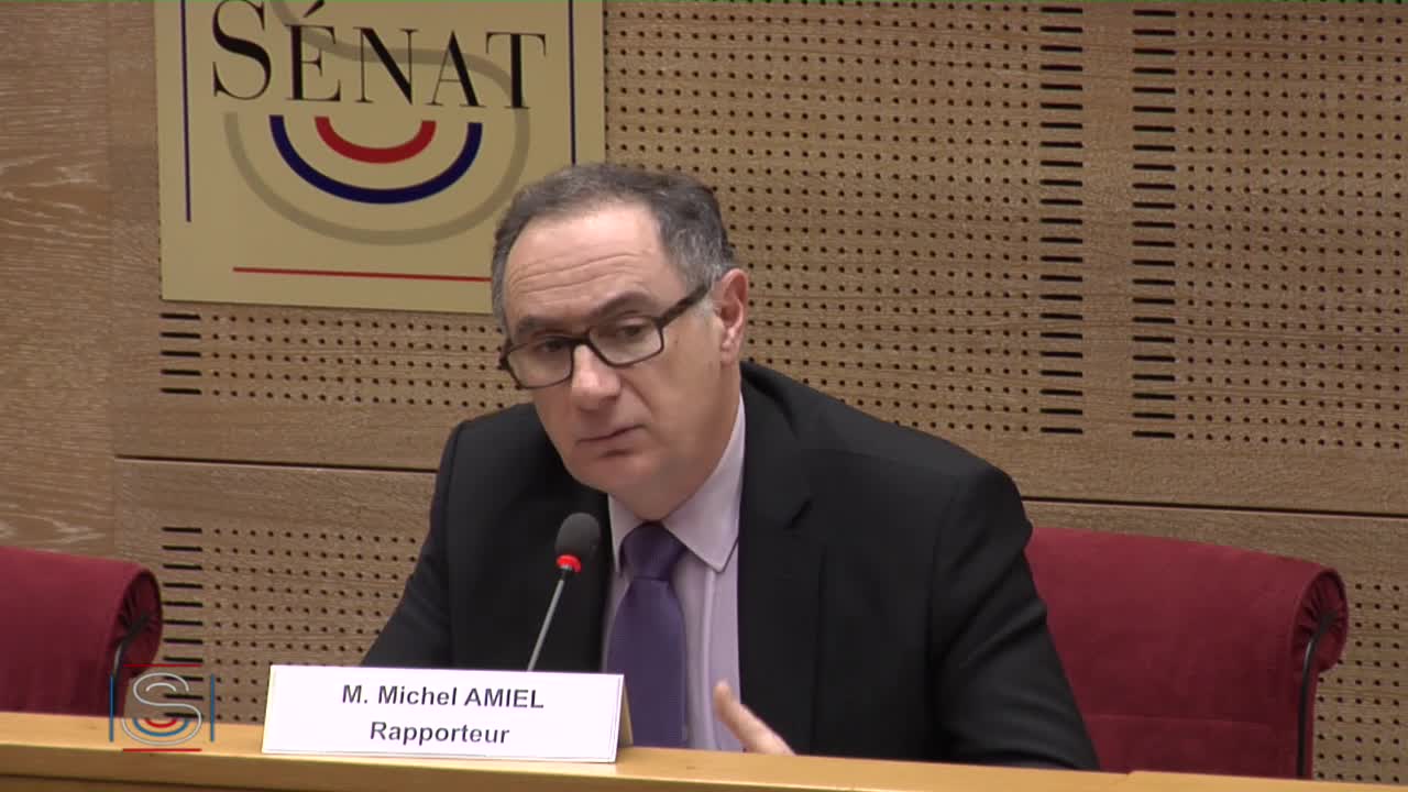 Audition conjointe de Mmes Béatrice Borrel (Unafam) et Claude Finkelstein (Fnapsy)