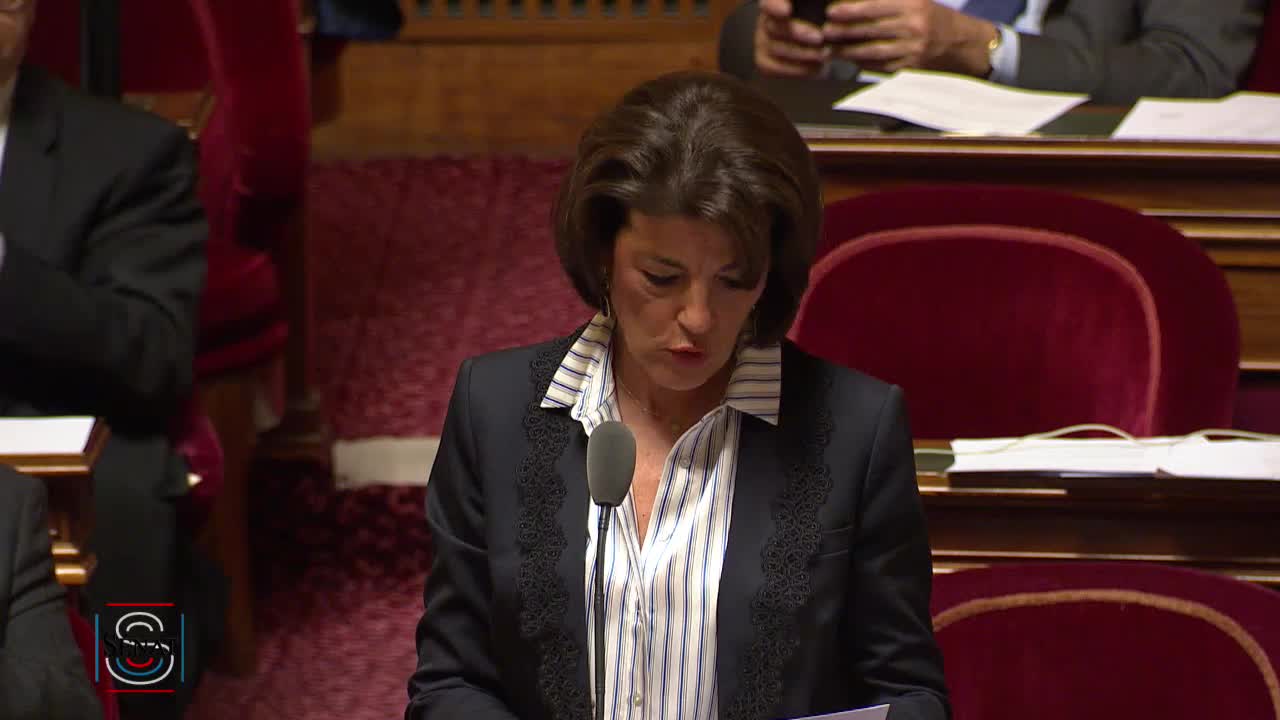 Séance publique du 17 avril 2018 (après-midi)