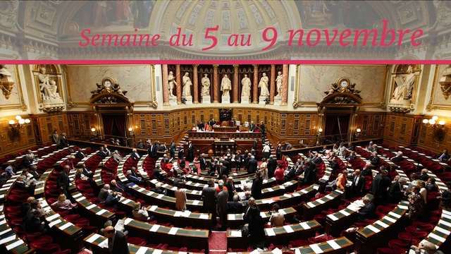 Senat.Hebdo N°73 (08/11/2012)