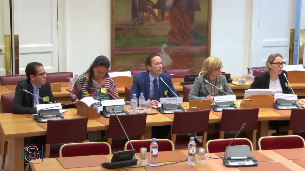 Audition de Mme Catherine Bourrienne-Bautista, de Mme Susana Chamorro et de M. Pierre Banzet