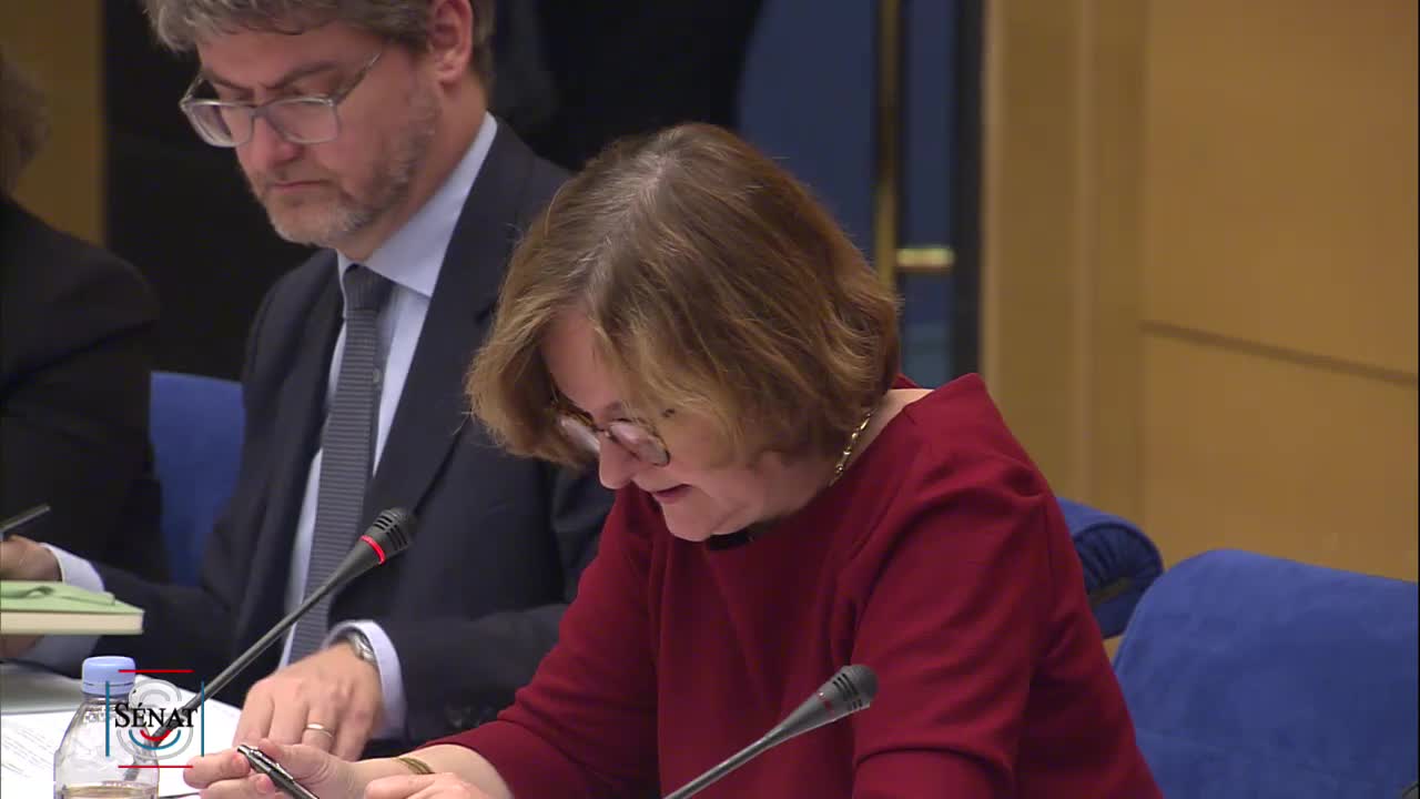 Audition de Mme Nathalie Loiseau, ministre déléguée aux affaires européennes