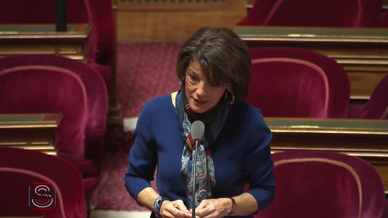 Séance publique du 20 novembre 2018 (matin)